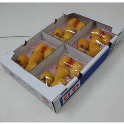 ふるさと納税 東かがわ市 初夏の果実 なつたより(びわ)