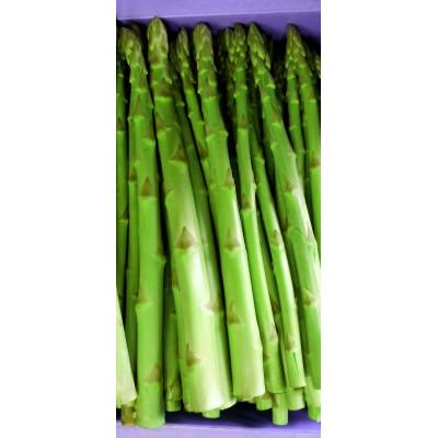 ふるさと納税 まんのう町 極太(2Lサイズ以上)!アスパラガス 約700g