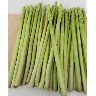 ふるさと納税 まんのう町 初物!太物(Lサイズ以上)さぬきのめざめ アスパラガス約1kg