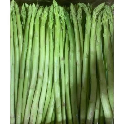 ふるさと納税 まんのう町 春芽!訳ありさぬきのめざめ アスパラガス約1kg