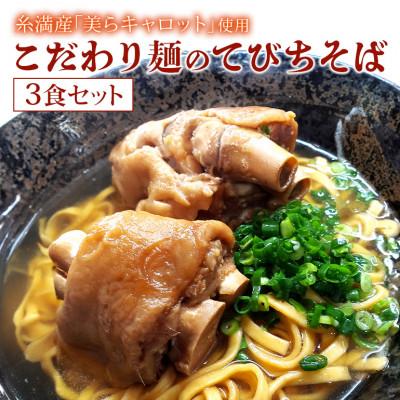 ふるさと納税 糸満市 [琉創キッチン 康〜yasu〜] 沖縄そば(てびちそば) 3食セット