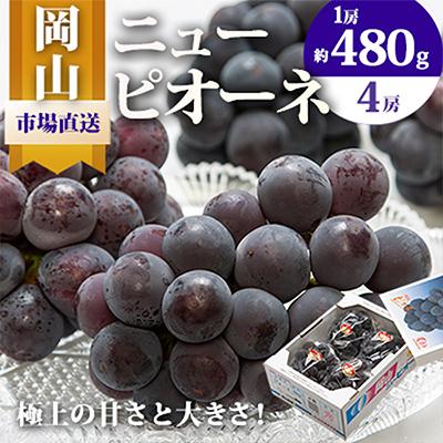 ふるさと納税 里庄町 岡山県産 ニューピオーネ4房(1房480g以上・合計約2kg)