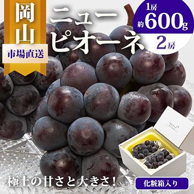 ふるさと納税 玉野市 岡山県産 ニューピオーネ2房 (1房600g以上) 化粧箱入り