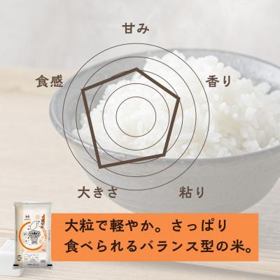 ふるさと納税 大網白里市 【令和8年産】千葉県 米 粒すけ 5kg ×2袋 計