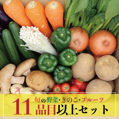 ふるさと納税 南島原市 野菜果物セット 野菜(キノコ)・フルーツ 11品目以上 九州 南島原市の旬を詰め合わせ