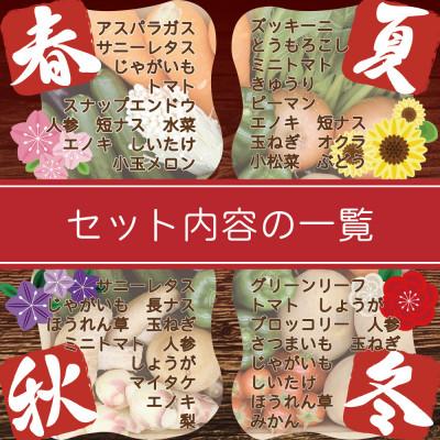 ふるさと納税 南島原市 野菜果物セット 野菜(キノコ)・フルーツ 11品目以上 九州 南島原市の旬を詰め合わせ |  | 03