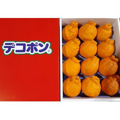 ふるさと納税 まんのう町 贈答用!ハウスデコポン化粧箱 約2.7kg