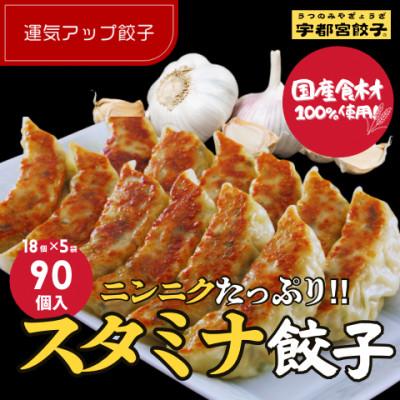 ふるさと納税 宇都宮市 宇都宮餃子 運気アップ餃子 ニンニクマシマシスタミナ餃子90個 保存料不使用