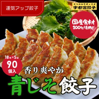 ふるさと納税 宇都宮市 宇都宮餃子 運気アップ餃子香り鮮やか青じそ鶏餃子90個 保存料不使用