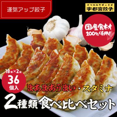 ふるさと納税 宇都宮市 宇都宮餃子 運気アップ餃子2種類食べ比べ(合計36個) 保存料不使用