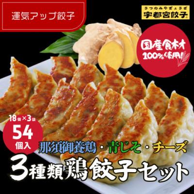 ふるさと納税 宇都宮市 宇都宮餃子 運気アップ餃子 鶏餃子3種類食べ比べ(合計54個) 保存料不使用