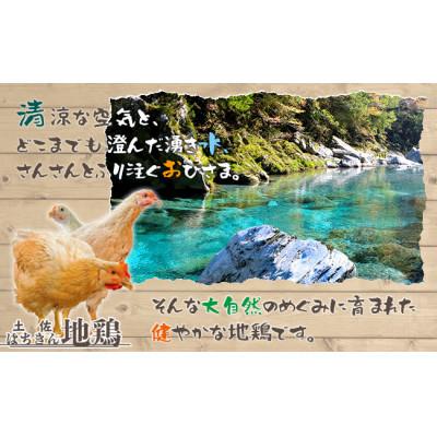 ふるさと納税 大川村 土佐はちきん地鶏もも肉 1kg