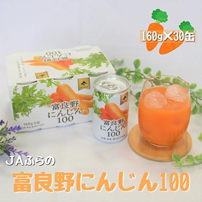ふるさと納税 南富良野町 JAふらの 富良野にんじん100(30缶セット)