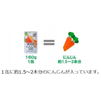 ふるさと納税 南富良野町 JAふらの　富良野にんじん100(60缶セット)_3