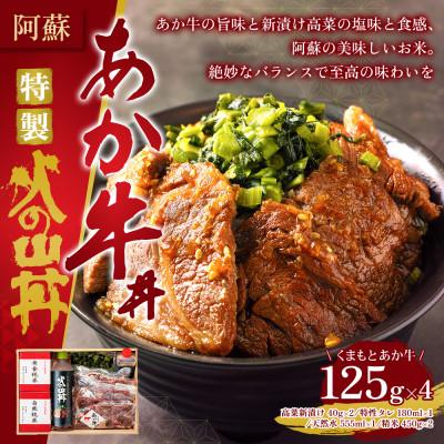 ふるさと納税 阿蘇市 お米とくまもとあか牛がコラボ!こだわりのあか牛丼セット〜火の山〜(くまもとあか牛スライス・特製タレ)