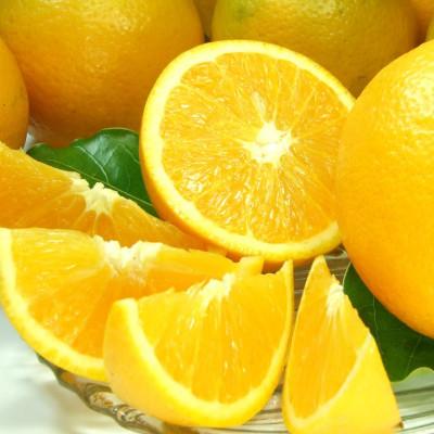 ふるさと納税 日高町 バレンシアオレンジ[約7kg]湯浅町田村産 春みかん(無選別・果実サイズ混合)