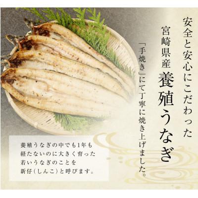 ふるさと納税 新富町 「玄人の一品」宮崎県産うなぎ白焼き 2尾(140〜180g)