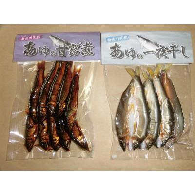 ふるさと納税 福知山市 由良川天然あゆ詰合せ