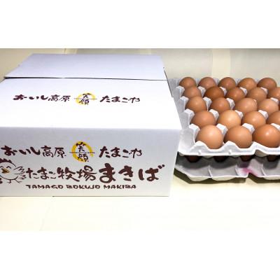 ふるさと納税 有田川町 おいし高原 庭さき卵Mサイズ50個入り