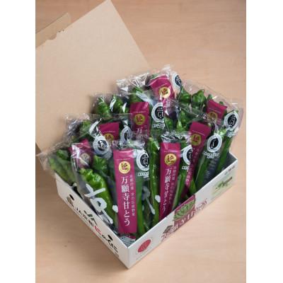 ふるさと納税 舞鶴市 甘い!美味い!辛くない!京のブランド産品「万願寺甘とう」化粧箱(150g袋×8袋)