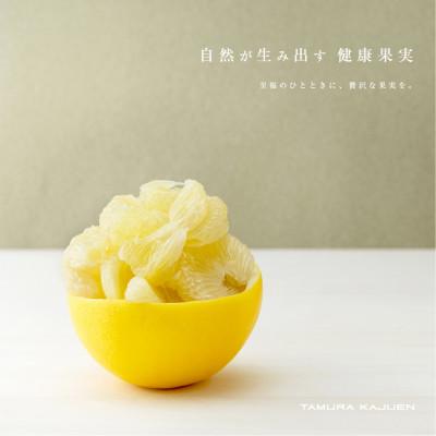 ふるさと納税 土佐市 高知産 柑橘[土佐文旦] L 11玉入り 家庭品