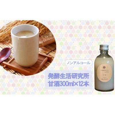 ふるさと納税 浅口市 丸本酒造 発酵生活研究所 甘酒300ml×12本