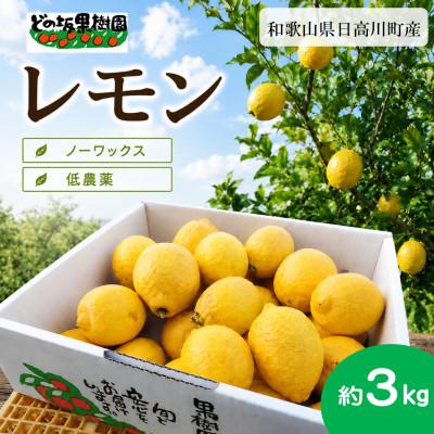 ふるさと納税 日高川町 [低農薬・ノーワックス]国産レモン 3kg/和歌山県日高川町産