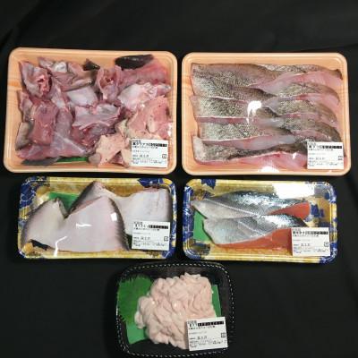 ふるさと納税 釧路町 お魚の目利きのプロにお任せ!北海道産 天然鮮魚 約500g〜1kg |  | 03