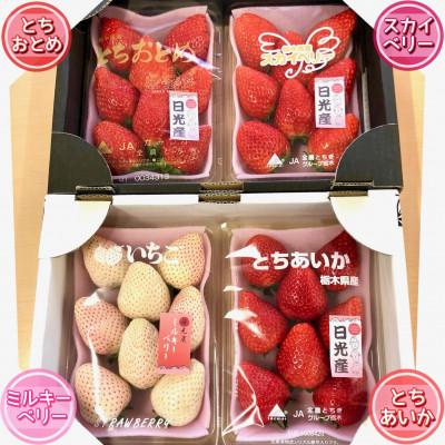 ふるさと納税 日光市 4種のいちご食べ比べ!とちおとめ,スカイベリー,ミルキーベリー,とちあいかのAセット[各約280g]