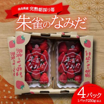 ふるさと納税 高取町 ご自宅用おまかせ便! 朱雀のなみだ (by花水土香) 2箱4p(1p250g以上)クラフト箱×トレー