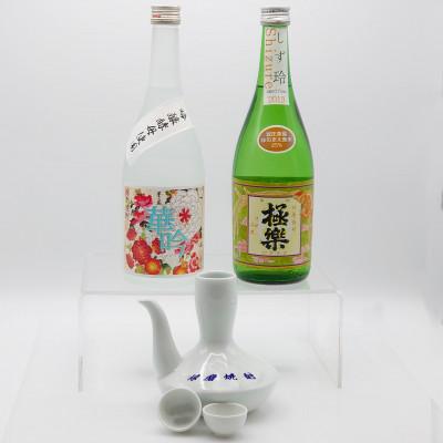 ふるさと納税 湯前町 湯前町2蔵元(減圧蒸留)焼酎各1本(合計2本)・ガラチョクセット