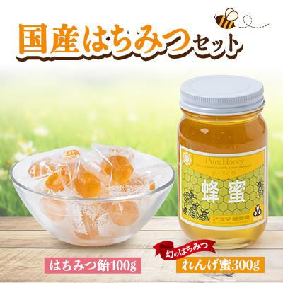 ふるさと納税 富田林市 国産蜂蜜セット(れんげ蜜とはちみつキャンディ