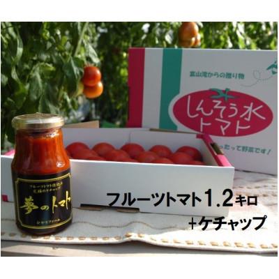 ふるさと納税 小矢部市 フルーツトマト(深層水トマト)1.2キロとトマトケチャップ(300ml×1本)[濃厚な甘みと旨味]