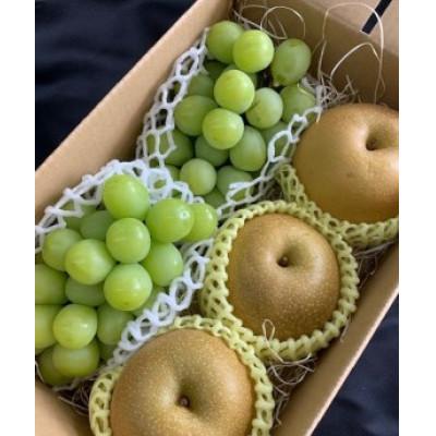 ふるさと納税 有田川町 シャインマスカット、豊水梨 詰め合わせ 約2kg箱 マルシ農園