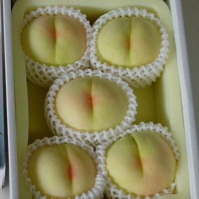 ふるさと納税 岡山市 岡山市 一宮産 岡山白桃 5〜6玉入り 1.5キロ 化粧箱入り