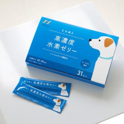 ふるさと納税 北九州市 高濃度水素ゼリー 犬用 5g×31本