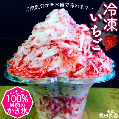 ふるさと納税 須賀川市 冷凍いちご「甘園房~あまえんぼう~」 約1kg(約500g×2袋)