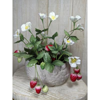 ふるさと納税 泉大津市 ロウの花 いちごアレンジ