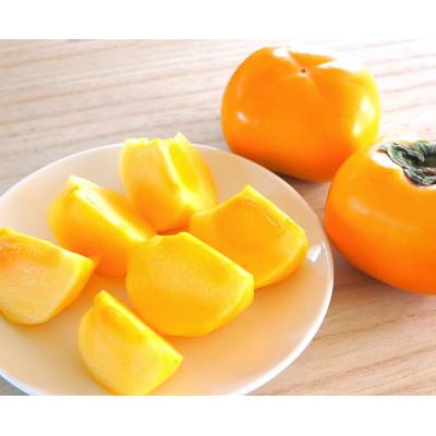 ふるさと納税 九度山町 [2026年発送]たねなし柿M~2Lサイズ40~32個箱詰め7.5kg