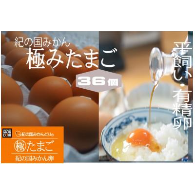 ふるさと納税 印南町 紀の国みかん極みたまご 36個