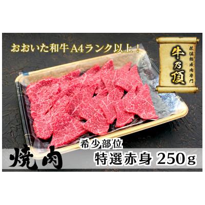 ふるさと納税 津久見市 おおいた和牛A4ランク以上 特選赤身焼肉用250g[低温熟成]