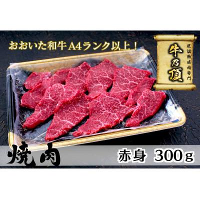 ふるさと納税 津久見市 おおいた和牛A4ランク以上 赤身焼肉用300g[低温熟成]