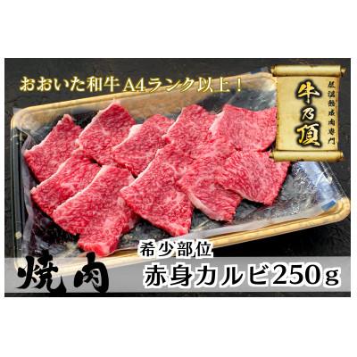 ふるさと納税 津久見市 おおいた和牛A4ランク以上 赤身カルビ焼肉用250g[低温熟成]