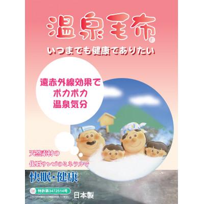 ふるさと納税 泉大津市 プレミアム温泉毛布KW11701 フュチャーニューマイヤー毛布 シングル　アイボリー_2