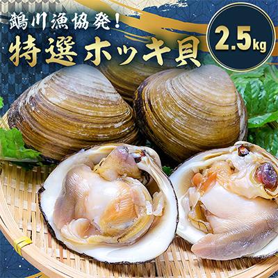 ふるさと納税 むかわ町 鵡川漁協発!特選ホッキ貝(2.5kg) | 
