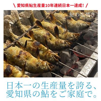 ふるさと納税 豊川市 【とよかわ鮎】鮎 (あゆ) 冷凍 1kg 厳選鮎使用!(急速冷凍) |  | 02