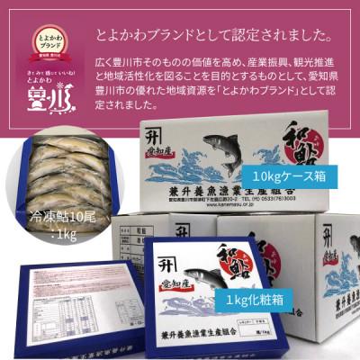 ふるさと納税 豊川市 【とよかわ鮎】鮎 (あゆ) 冷凍 1kg 厳選鮎使用!(急速冷凍) |  | 03