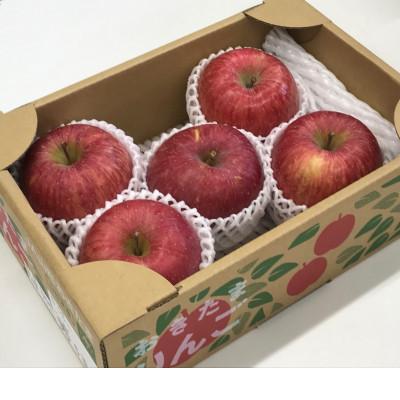 ふるさと納税 南陽市 りんご「サンふじ」秀品 約2kg(5玉〜8玉)[S1160]
