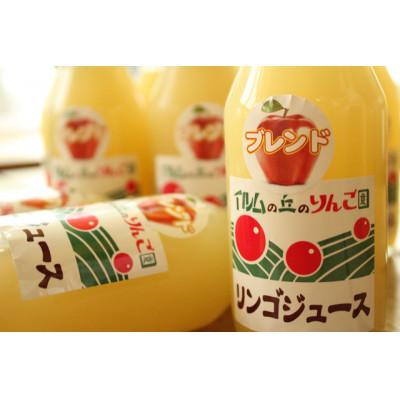 ふるさと納税 深川市 北海道深川産りんごジュース 180ml×10本セット