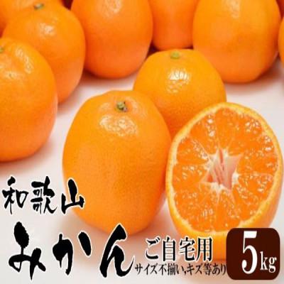ふるさと納税 和歌山市 和歌山産 みかん 5kg [ご自宅用・サイズ不揃い・キズ等あり]